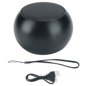 Mini Pairable Wireless Speaker